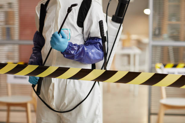 Professional Hoarding Cleanup technician working in Oak Hill, FL